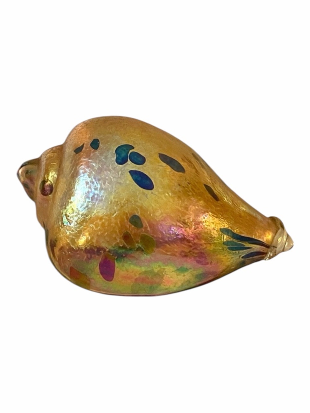 Glass Eye Studio Vintage Glass Iridescent Splatter Conch Sea Shell paperweight